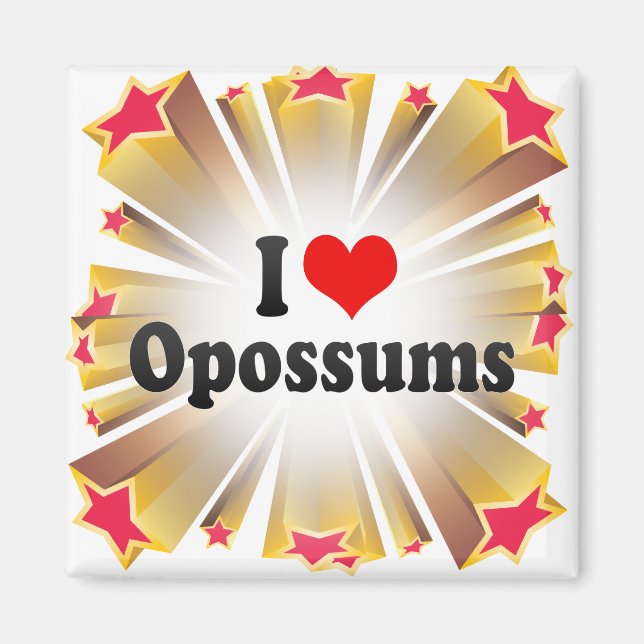 I Love Opossums Magnet (Front)