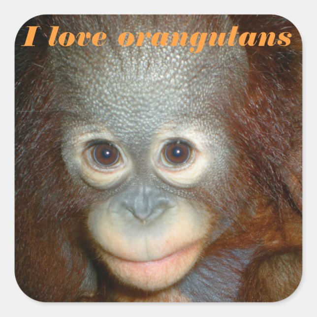 I Love Orangutan Square Sticker (Front)