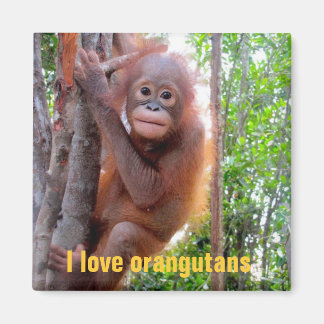 I Love Orangutans with Baby Uttuh Magnet