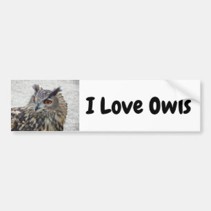 I Love Owls Bumper Sticker