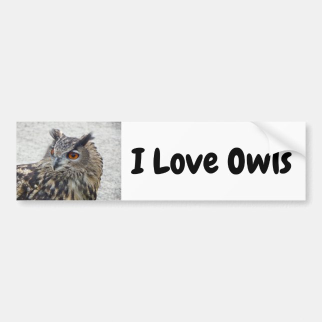 I Love Owls Bumper Sticker (Front)