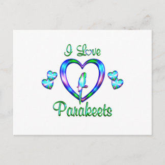 I Love Parakeets Postcard
