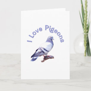 I Love Pigeons Card