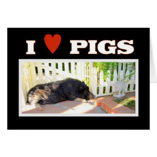 I love Pigs