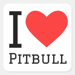 I love pitbull square sticker