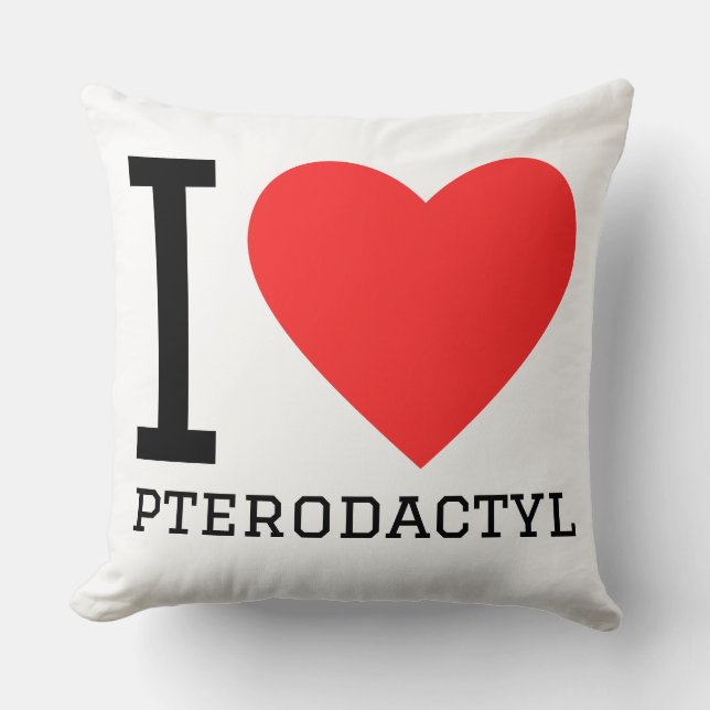 I love pterodactyl  cushion (Front)