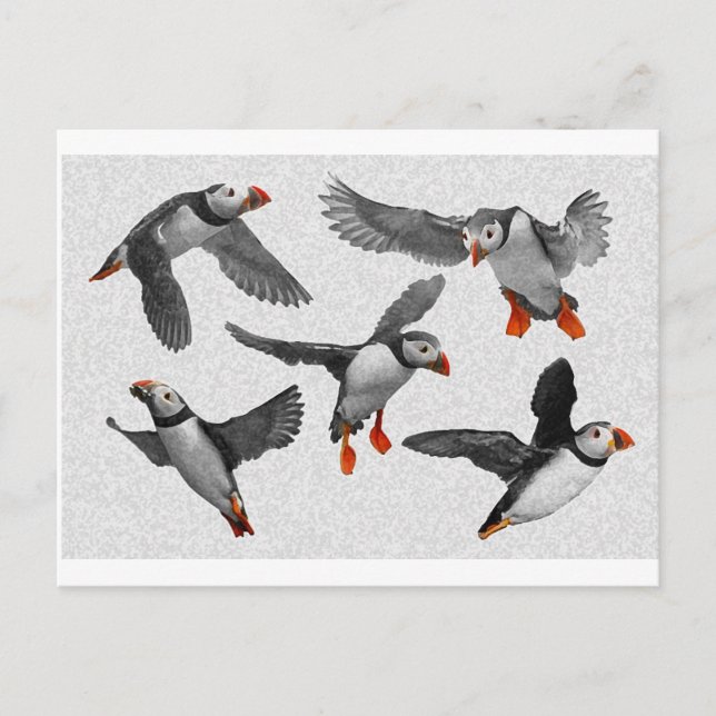 I Love Puffins! Postcard (Front)