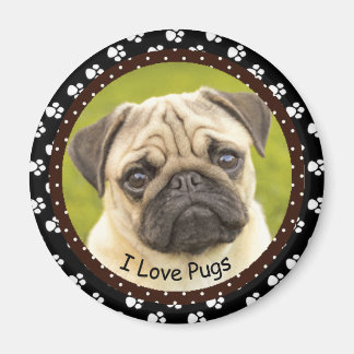 I love Pugs  2  Magnet