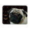 I Love Pugs with Hearts Flexible Magnet