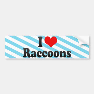 I Love Raccoons Bumper Sticker