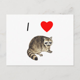 I Love Raccoons Postcard