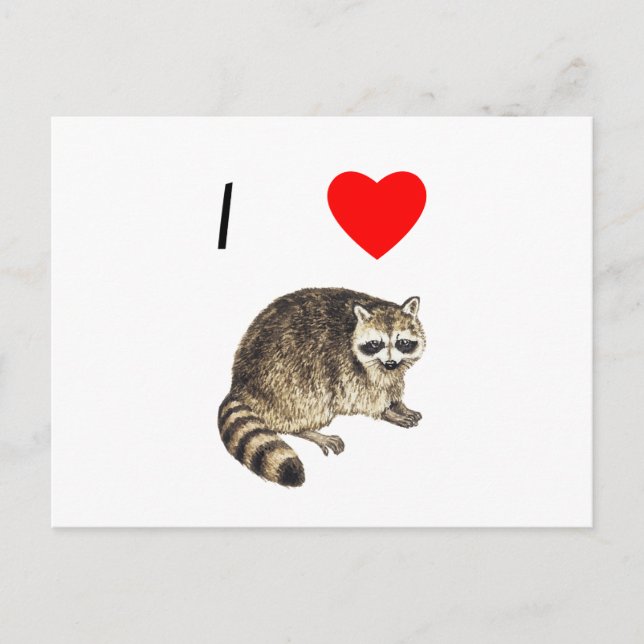 I Love Raccoons Postcard (Front)