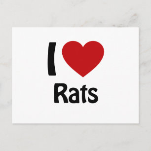 I love Rats Postcard