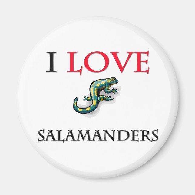 I Love Salamanders Magnet (Front)