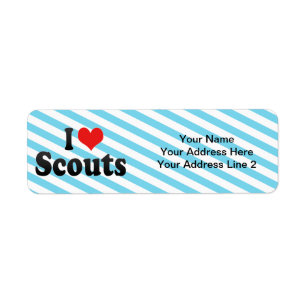 I Love Scouts