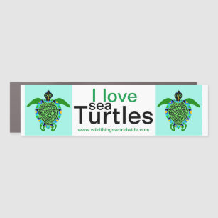 I love Sea TURTLES - Aqua green car magnet