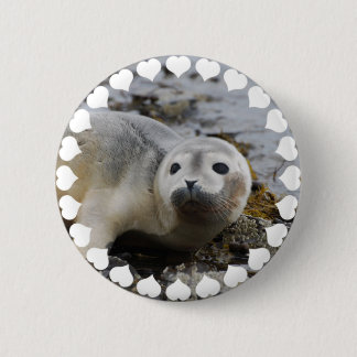 I Love Seals 6 Cm Round Badge
