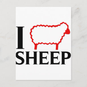 I Love Sheep Postcard