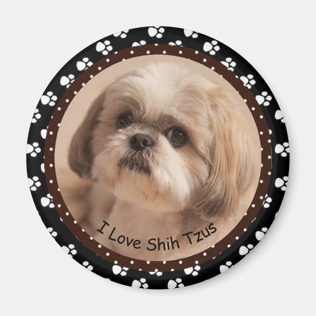 I love Shih Tzus  Magnet (Front)