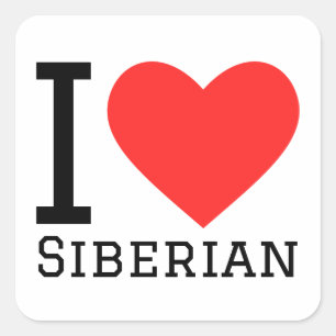 I love siberian cat square sticker