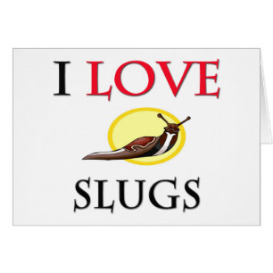 I Love Slugs