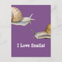 I Love Snails Snail Design