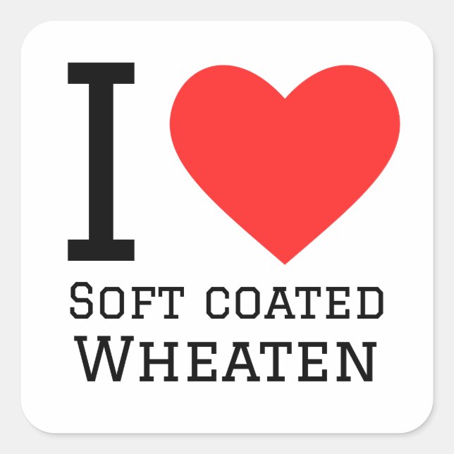 I love soft coated wheaten square sticker (Front)
