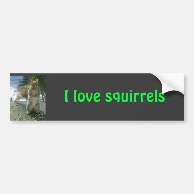 I love squirrels bumper sticker (Front)
