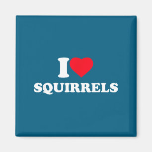I Love Squirrels Heart Animal Lover Magnet