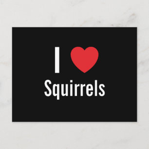 I love Squirrels Postcard