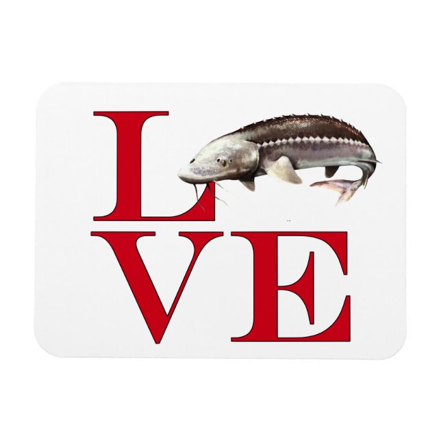 I Love Sturgeon Magnet (Horizontal)