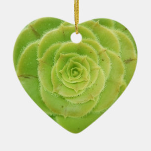 I Love Succulents Green Heart Ornament