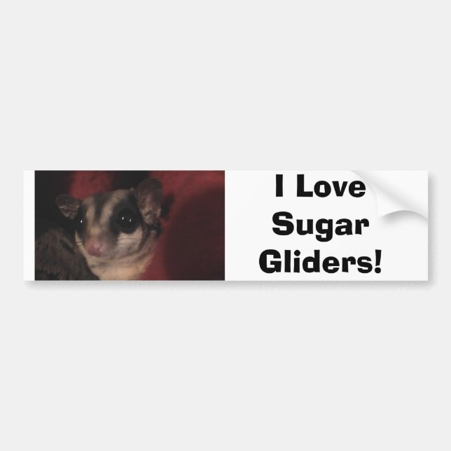 I Love Sugar Gliders! Bumper Sticker (Front)