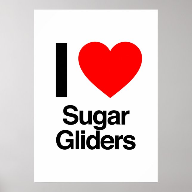 i love sugar gliders poster (Front)