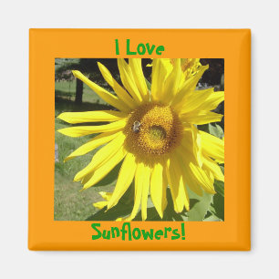 I Love, Sunflowers! Magnet