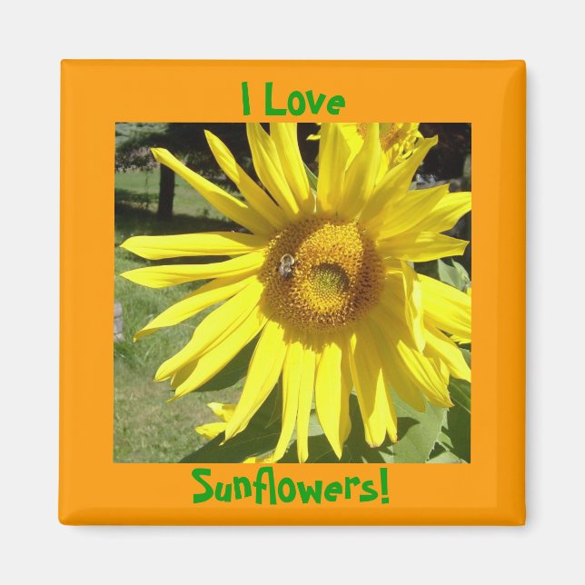 I Love, Sunflowers! Magnet (Front)