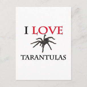I Love Tarantulas Postcard