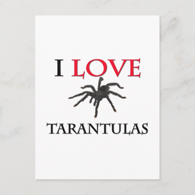I Love Tarantulas Postcard (Front)
