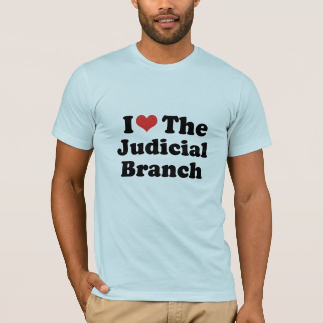 I LOVE THE JUDICIAL BRANCH - .png T-Shirt (Front)