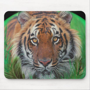I love Tigers Mouse Pad