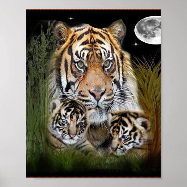 I love Tigers Poster (Front)