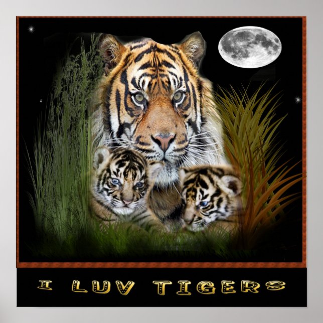 I love tigers posters (Front)