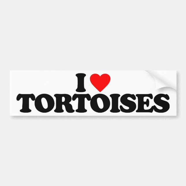 I LOVE TORTOISES BUMPER STICKER (Front)