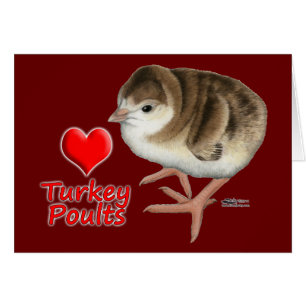 I Love Turkey Poults!