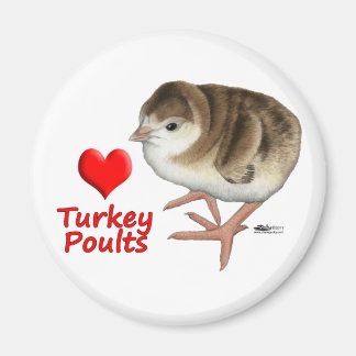 I Love Turkey Poults! Magnet