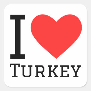 I love turkey square sticker