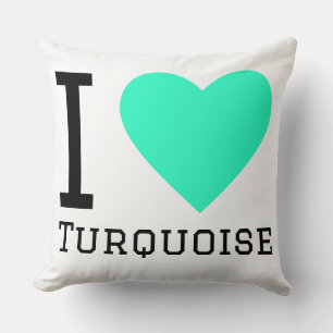 I love turquoise cushion