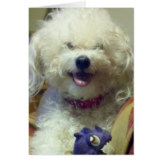 I LOVE U MORE THAN MY FAV TOY (Front)