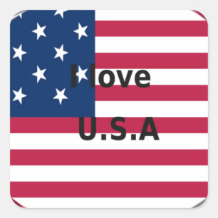 I Love U.S.A. Swirl: Patriotic Heart Art Print  Square Sticker