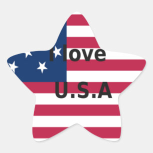 I Love U.S.A. Swirl: Patriotic Heart Art Print  Star Sticker